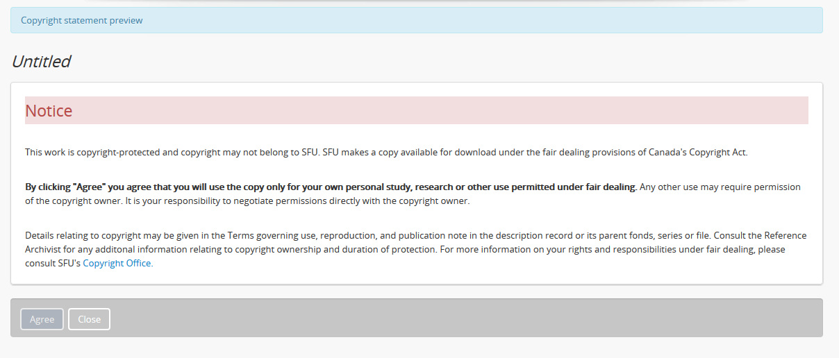 An example of the Copyright statement preview page