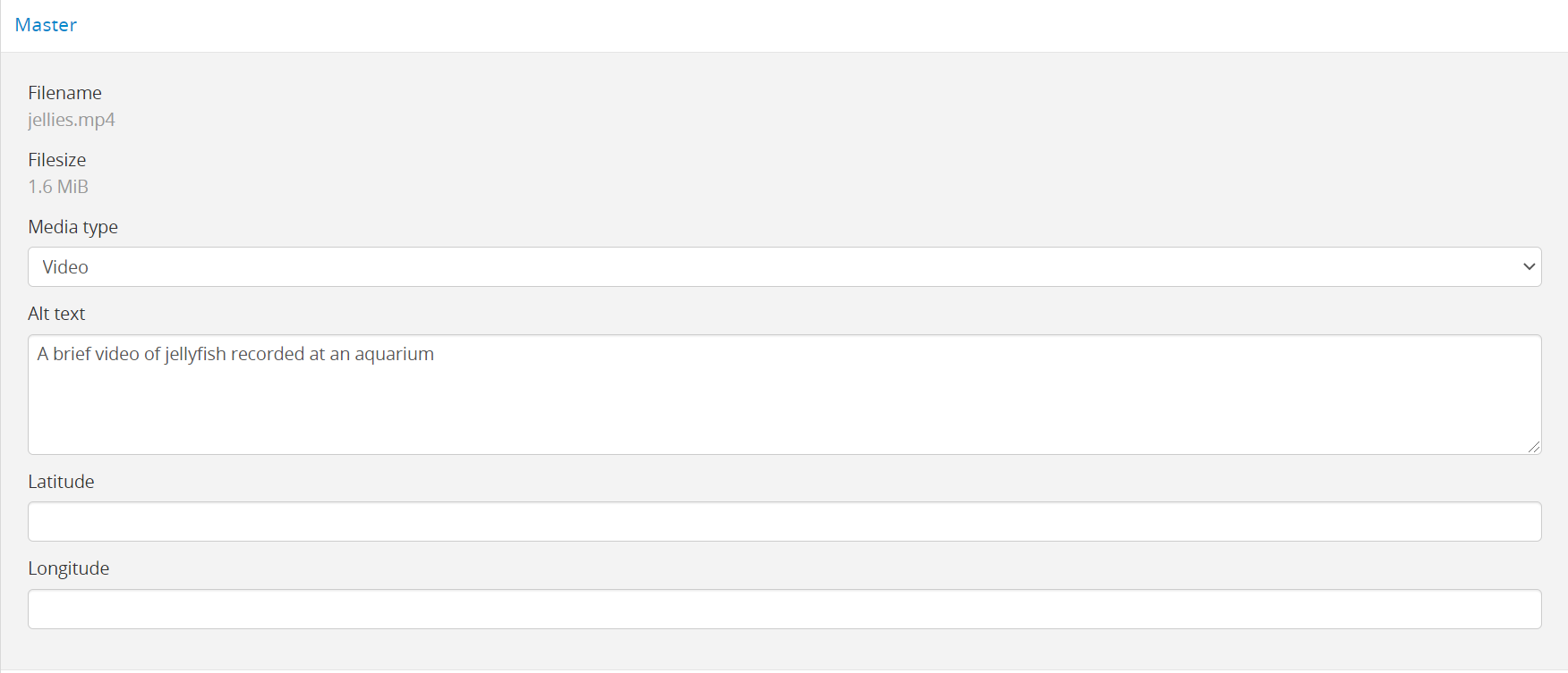 An image of the metadata fields shown below the master digital object in the digital object edit page