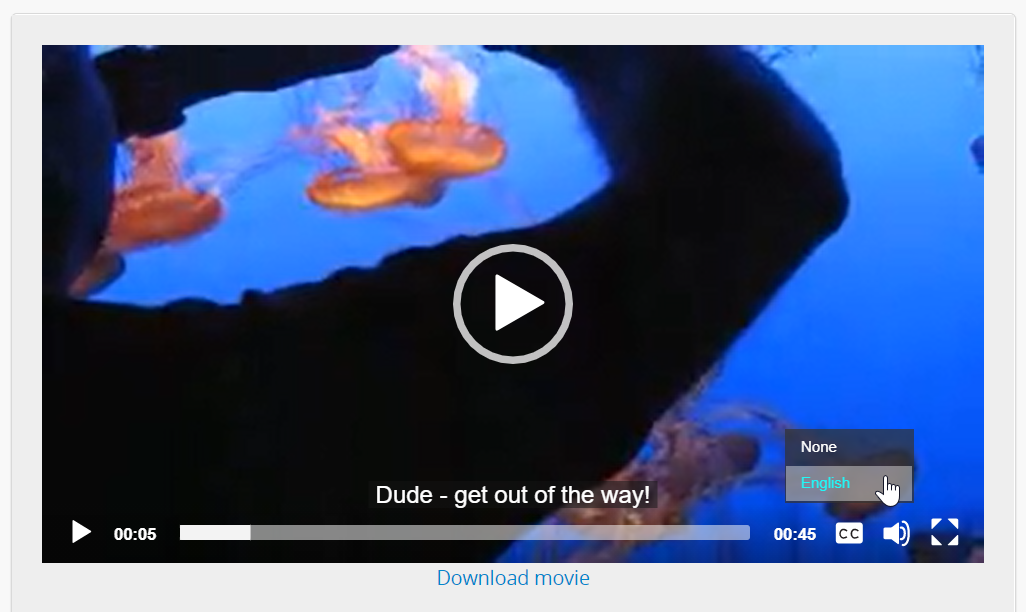 An image of the media player showing the captions menu