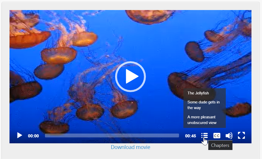 An image of the media player showing the chapter menu