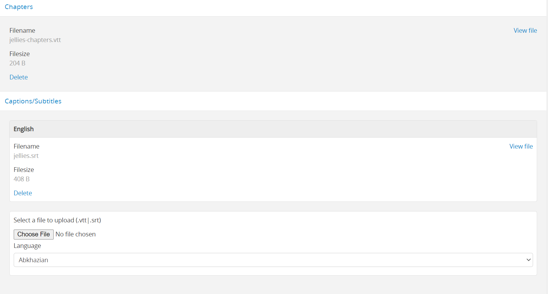 The Chapters and Caption/Subtitles upload options in the digital object edit page, when files have previously been uploaded
