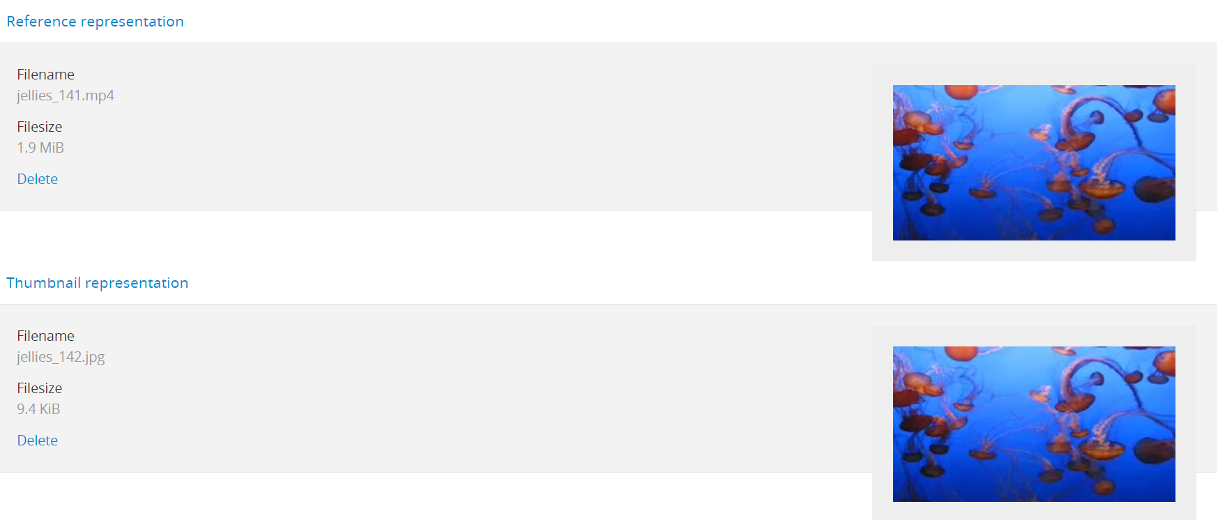 The Reference and Thumbnail representation areas in the Digital object edit page