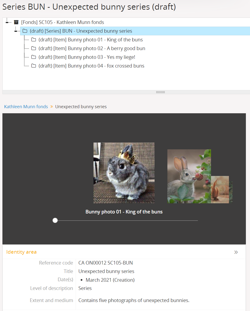 An image of a description after uploading multiple digital objects