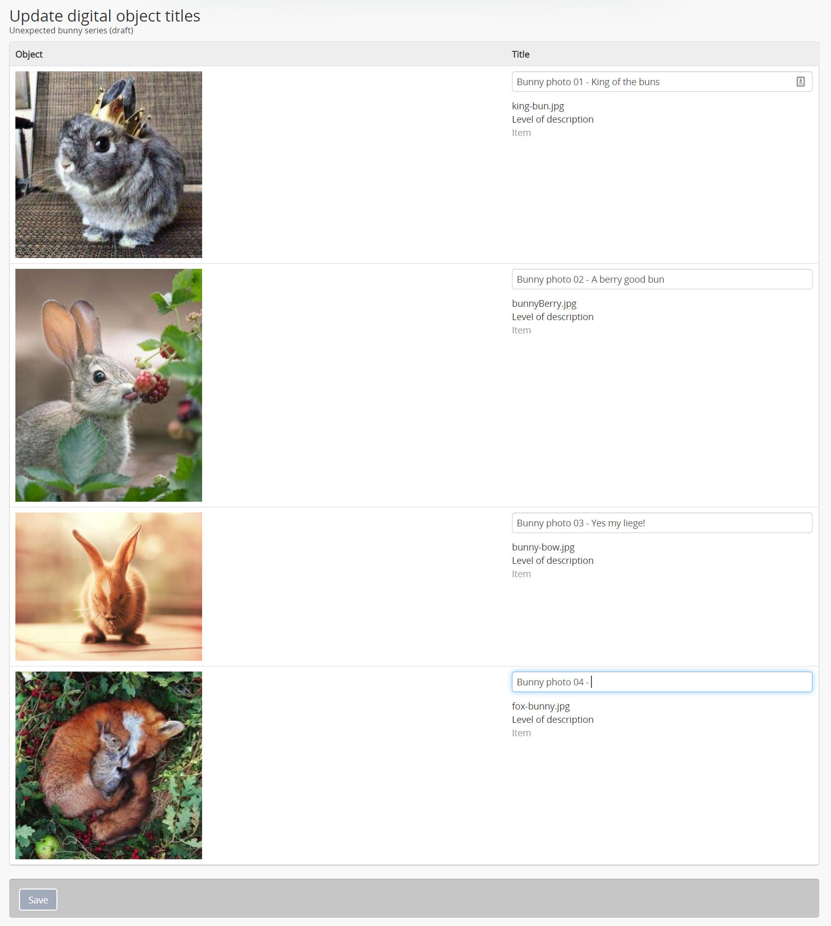 Customizing the description titles of the uploaded digital objects
