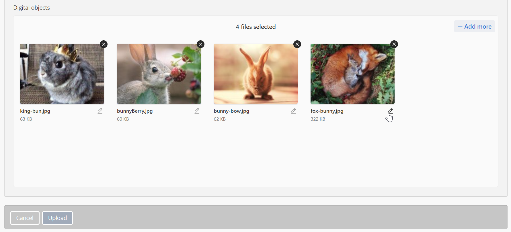 Customizing individual description titles for each object uploaded