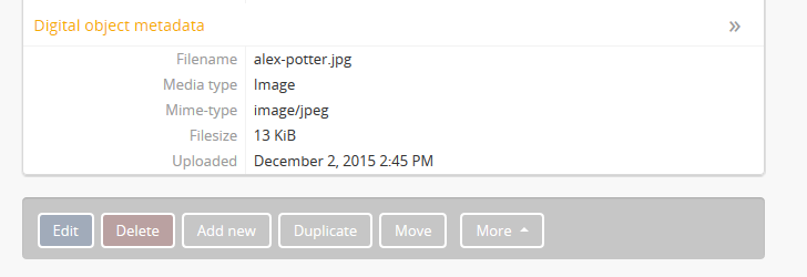 An image of the digital object metadata area on an archival description